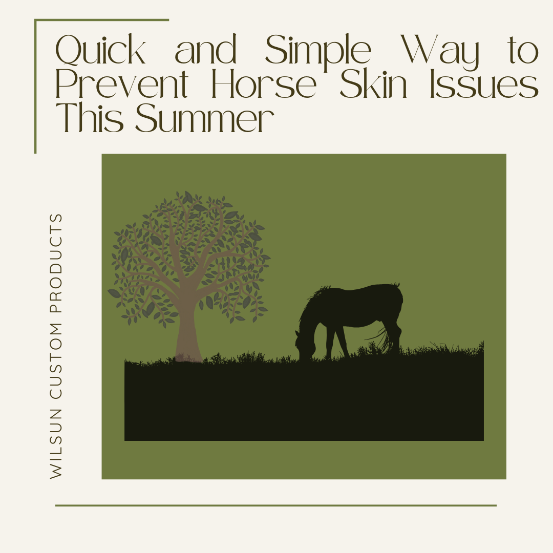 Quick and Simple Way to Prevent Horse Skin Issues This Summer
