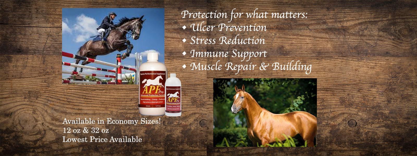 Benefits of APF PRO EQUINE PERFORMANCE SUPPLEMENT - Wilsun Custom Horse Blankets & Fine Horse Accessories