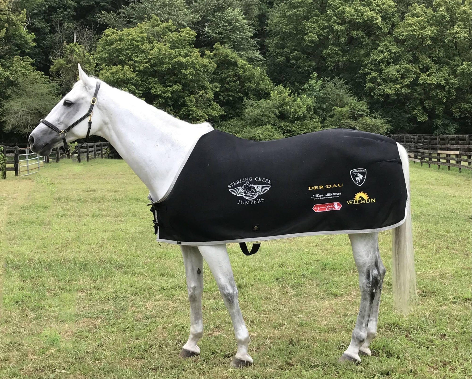 Custom ThermoCool Cooler - Wilsun Custom Horse Blankets & Fine Horse Accessories