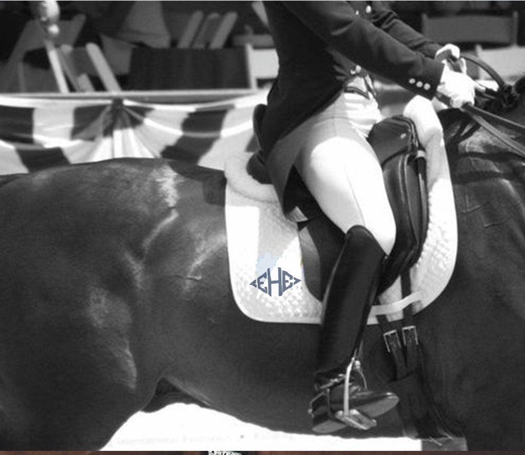 CDM HORSE SPONGE – HorseandRiderSA