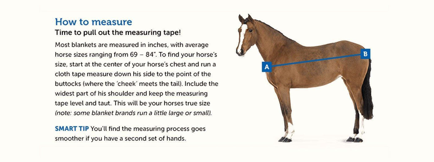How to measure your horse for a horse blanket? Wilsun