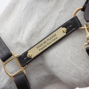 Personalized Brass Halter Plate - Wilsun Custom Horse Blankets & Fine Horse Accessories