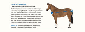 Custom Dry Horse Turnout Blanket - Wilsun Custom Horse Blankets & Fine Horse Accessories