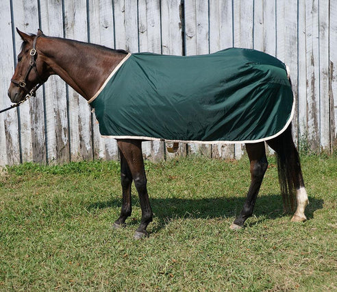 Custom Dry Horse Turnout Sheet - Wilsun Custom Horse Blankets & Fine Horse Accessories