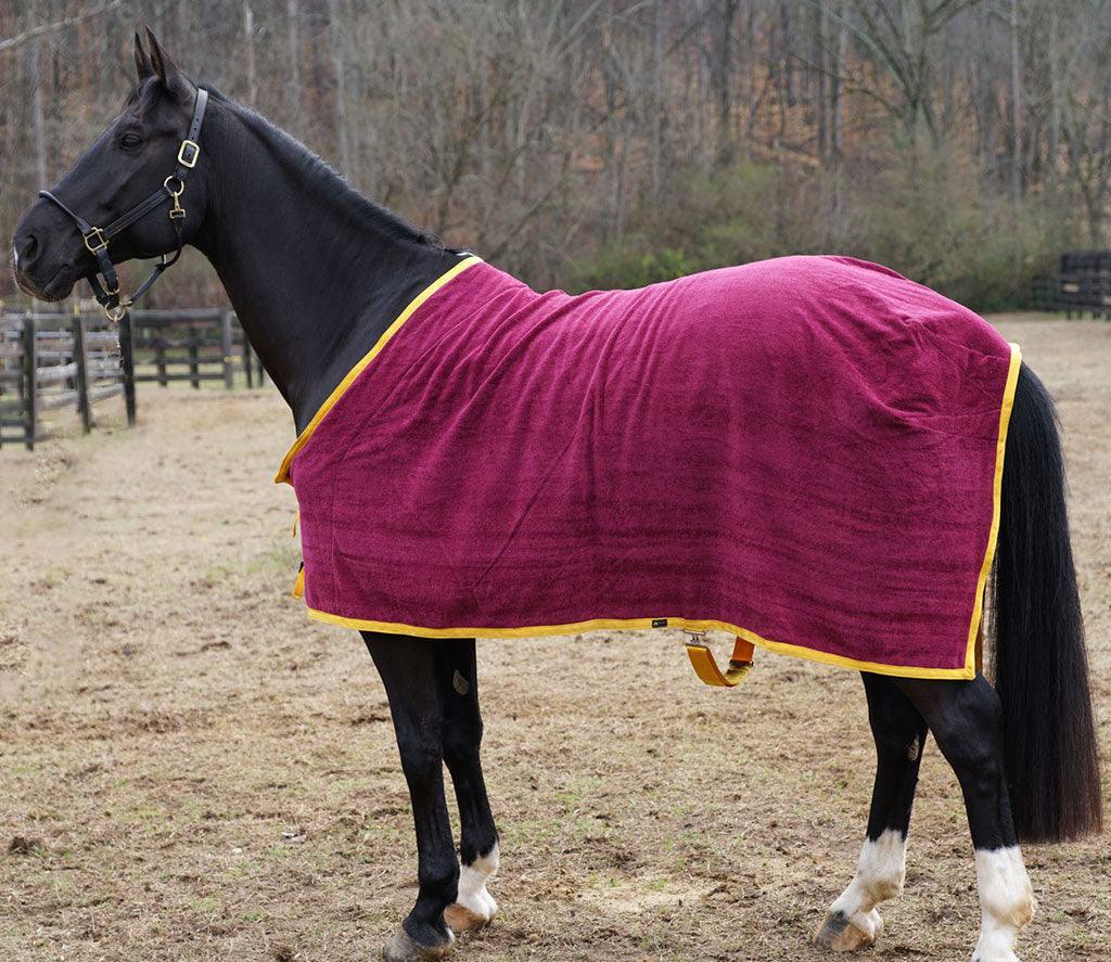 Custom EquiRobe Cooler - Wilsun Custom Horse Blankets & Fine Horse Accessories