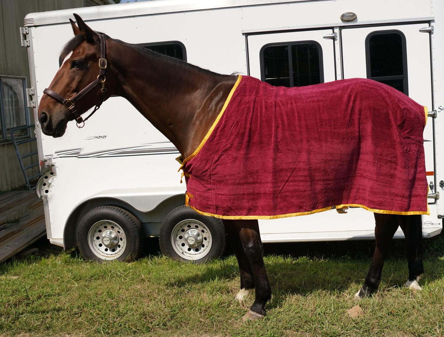 Custom EquiRobe Cooler - Wilsun Custom Horse Blankets & Fine Horse Accessories