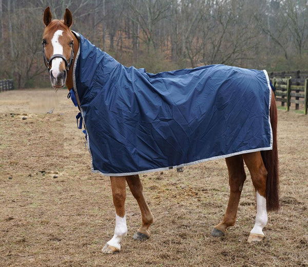 Custom Extended Neck Rain Sheet Horse Blanket Waterproof Protection