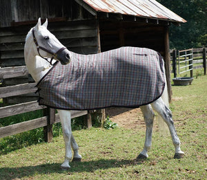 Custom Horse Wool Dress Sheet - Wilsun Custom Horse Blankets & Fine Horse Accessories