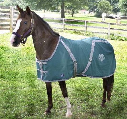 Custom Stable Sheet - Wilsun Custom Horse Blankets & Fine Horse Accessories