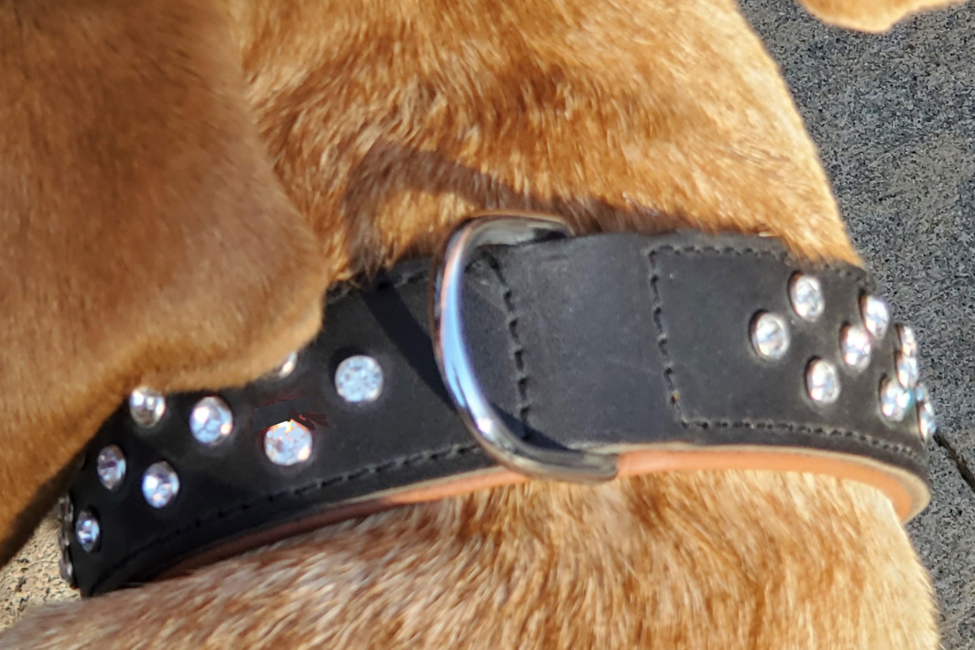 Glam Rhinestone Leather Collar - Wilsun Custom Horse Blankets & Fine Horse Accessories
