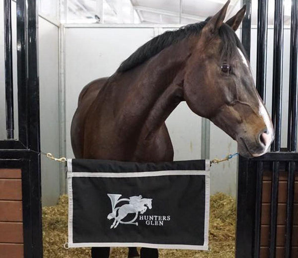 Custom Horse Stall Guards