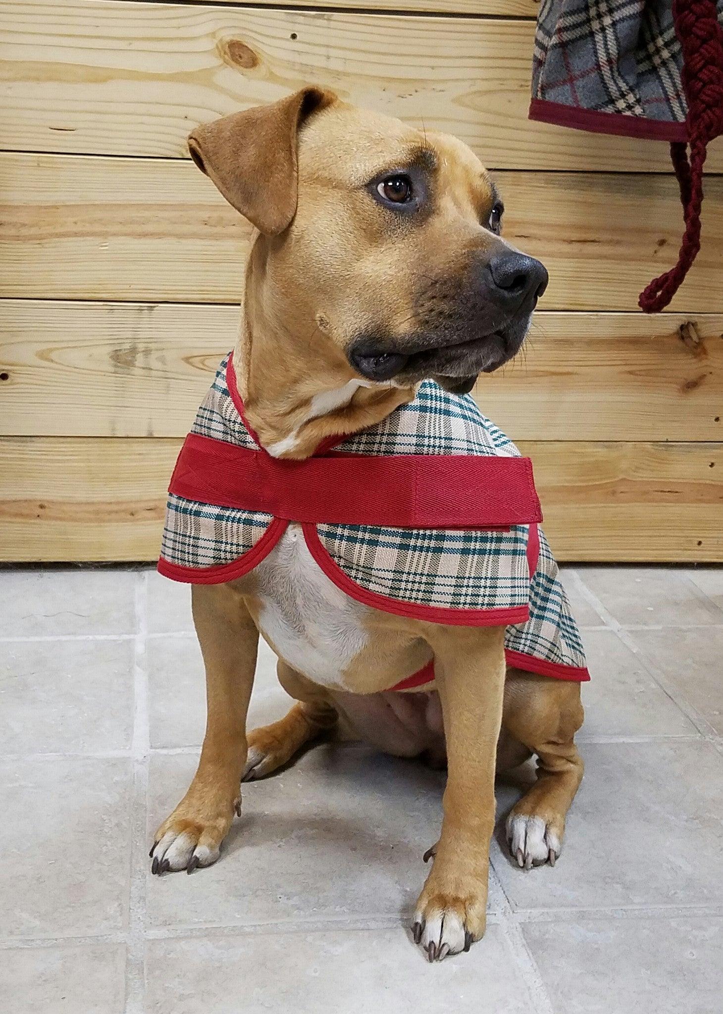 Personalized Dog Blanket - Tartan Plaid - Wilsun Custom Horse Blankets & Fine Horse Accessories