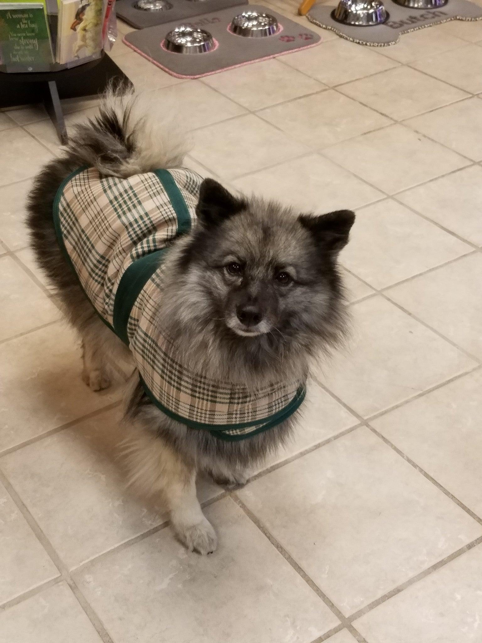 Custom Personalized Dog Blankets