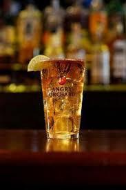 Strahl Engraved Acrylic Shot Glasses SET OF 4 - Wilsun Custom Horse Blankets & Fine Horse Accessories