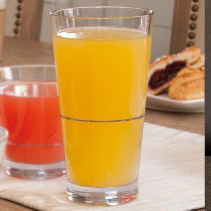 Strahl Engraved Acrylic Tumbler Glass - Wilsun Custom Horse Blankets & Fine Horse Accessories