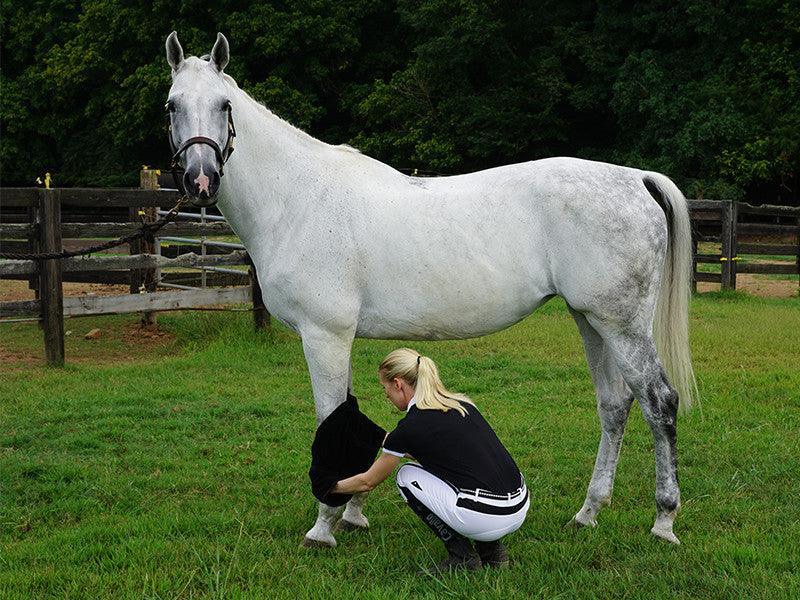 Supa Towel Grooming Drying Towel For Horses Dogs Wilsun supa-towel-grooming-drying-towel-for-horses-dogs-wilsun